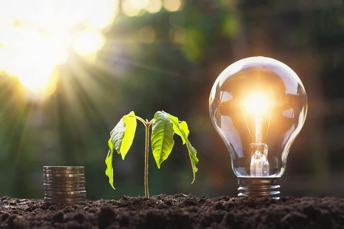 Quels sont les fournisseurs d’électricité les plus prisés des Français ?